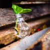 How LED Lights Are the Future of Grow Lighting LED is the future of grow lighting